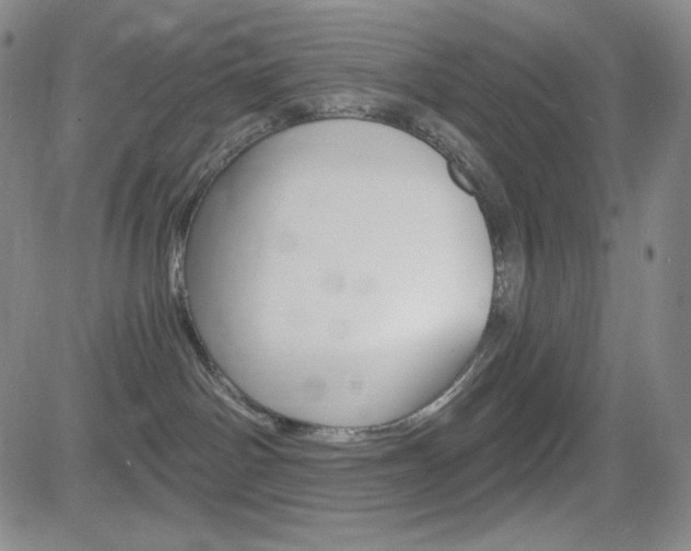 X0000084570142200702230919