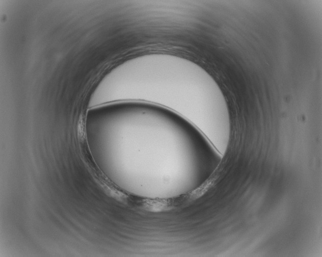X0000084570143200702230919