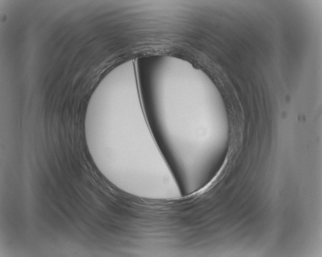 X0000084570144200702230919