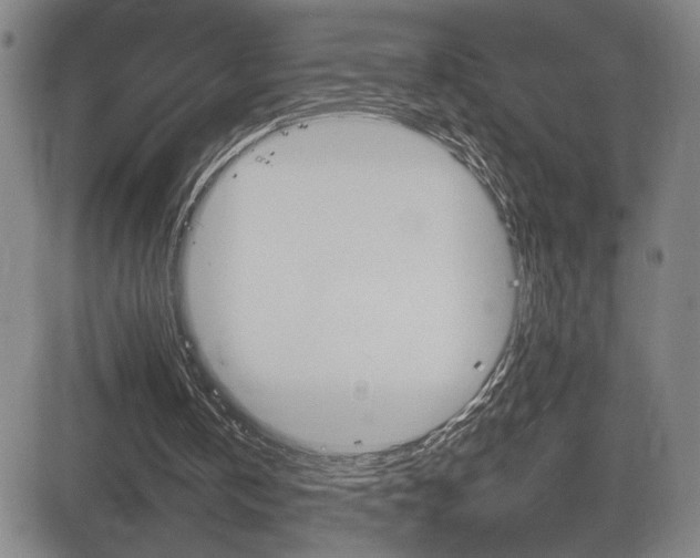 X0000084570146200702230918