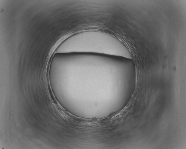 X0000084570147200702230918