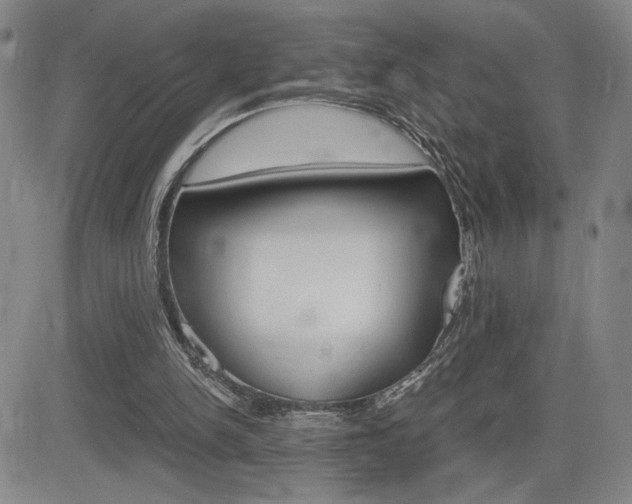 X0000084570150200702230918