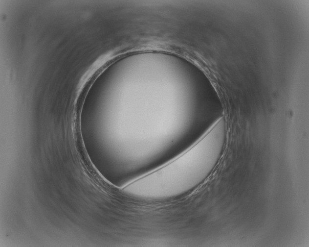 X0000084570152200702230918