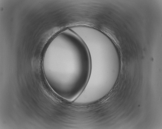 X0000084570156200702230918