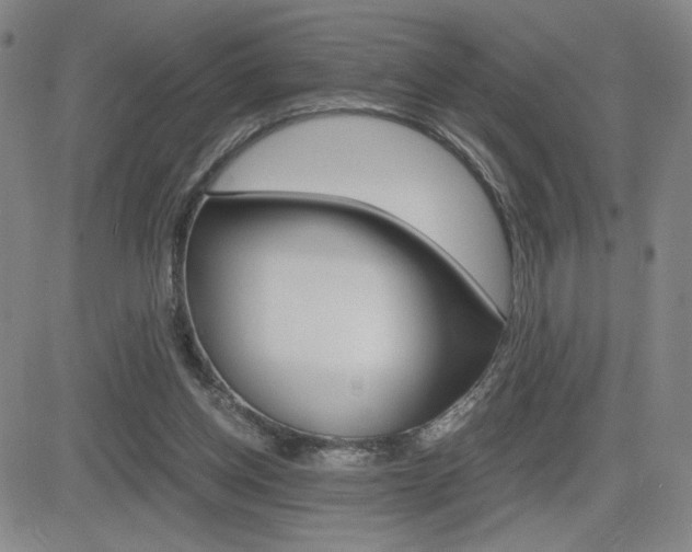 X0000084570158200702230918