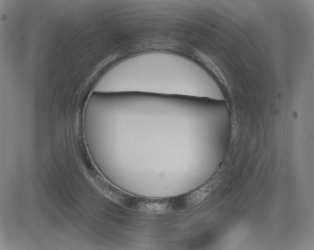 X0000084570163200702230919