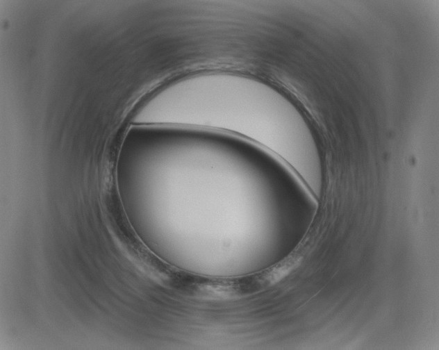 X0000084570164200702230919