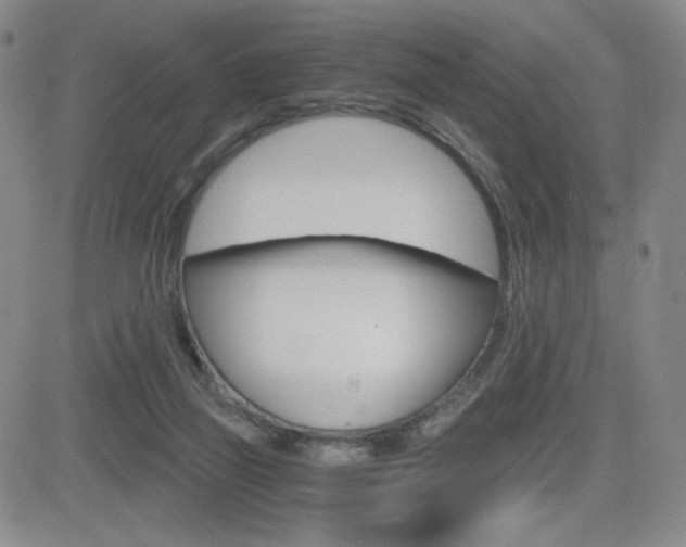 X0000084570165200702230919