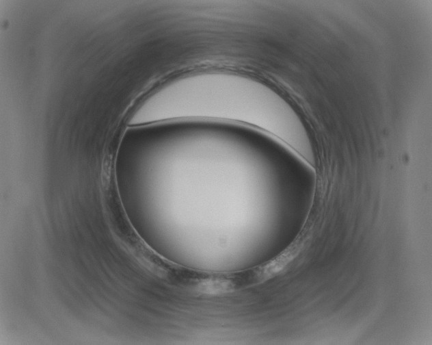 X0000084570168200702230919