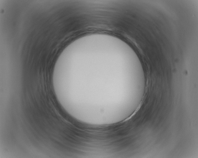 X0000084570170200702230919