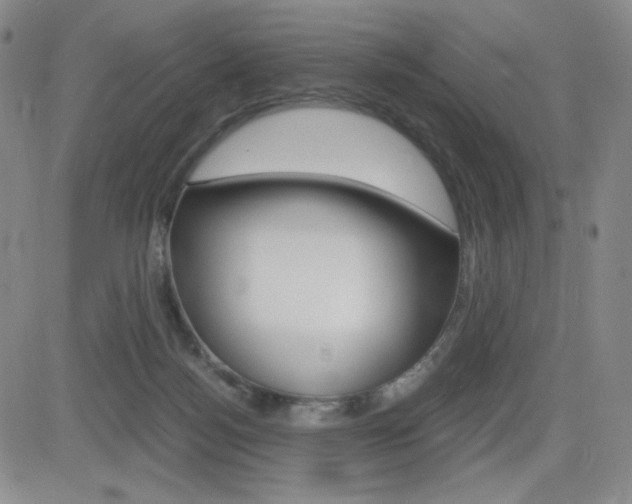 X0000084570172200702230919