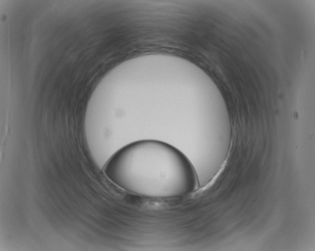 X0000084570174200702230919