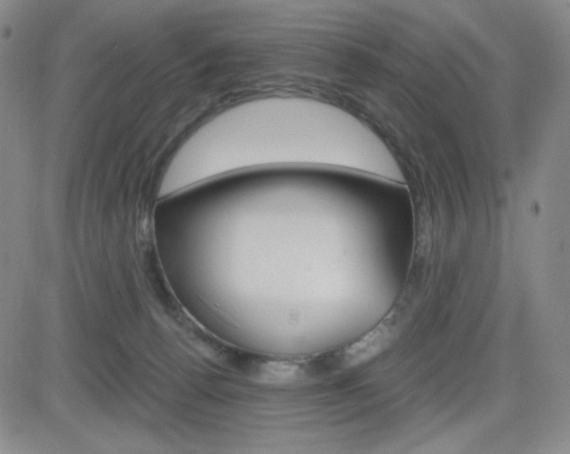 X0000084570176200702230919