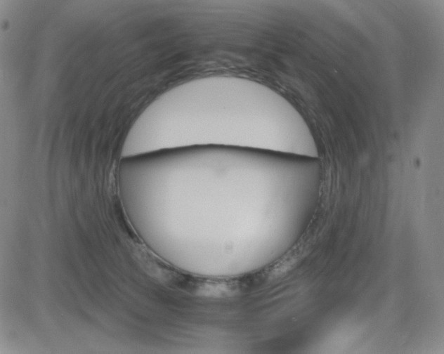 X0000084570177200702230919