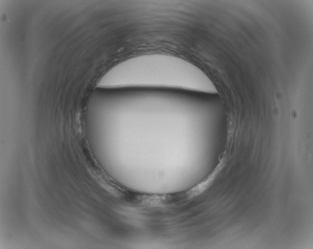 X0000084570182200702230919