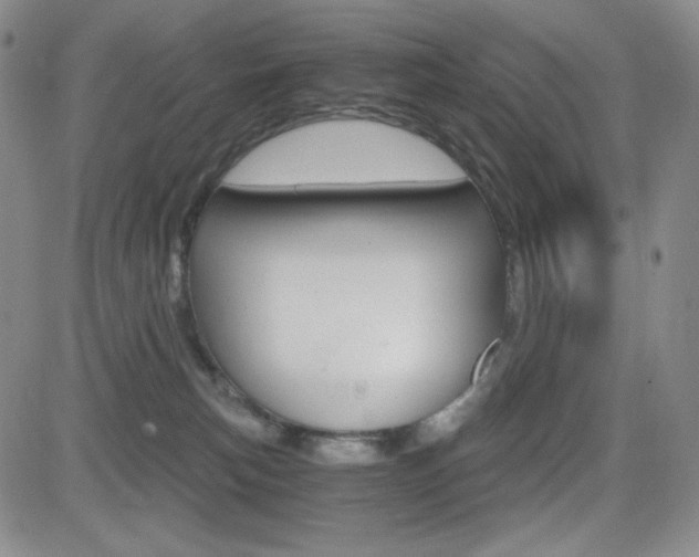 X0000084570183200702230919