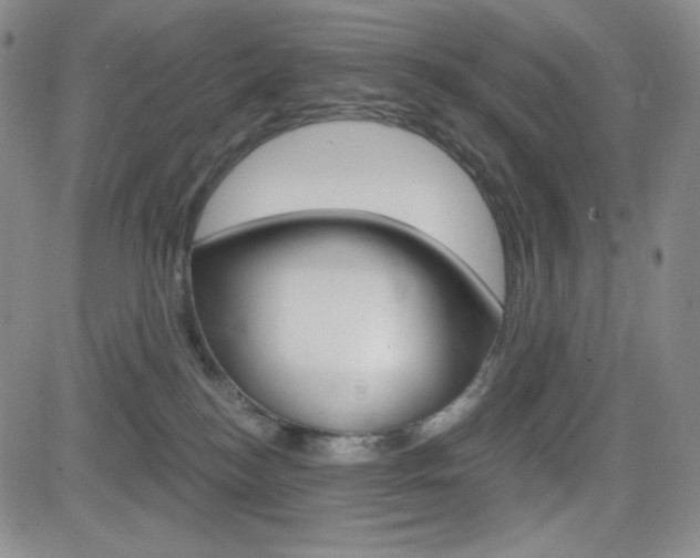 X0000084570184200702230919