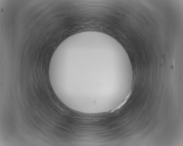 X0000084570186200702230919