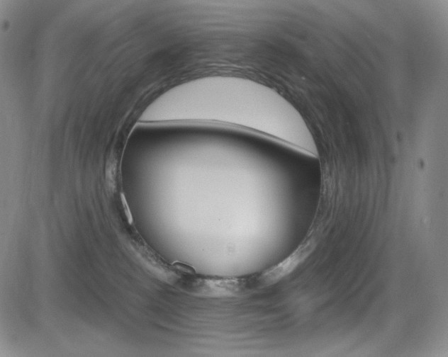 X0000084570188200702230919