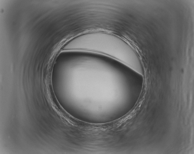 X0000084570193200702230918