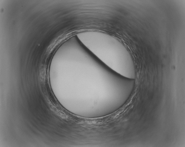 X0000084570194200702230918