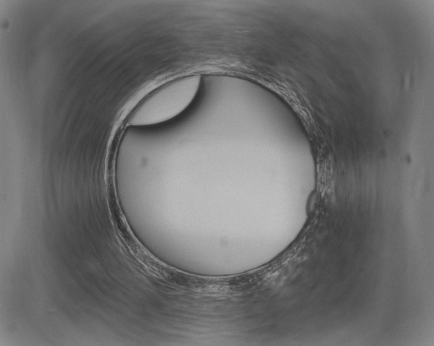 X0000084570196200702230918