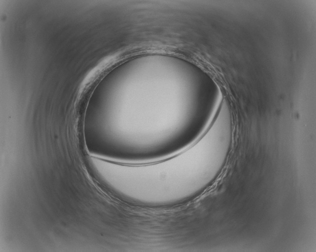 X0000084570197200702230918