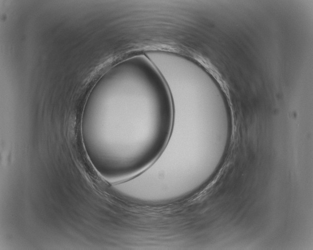 X0000084570201200702230918