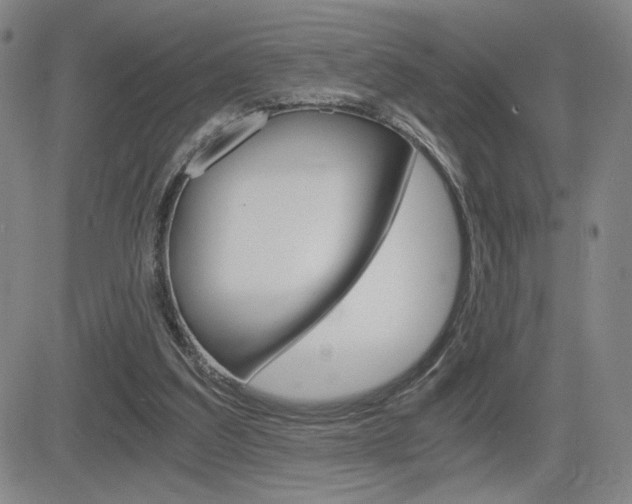 X0000084570203200702230918