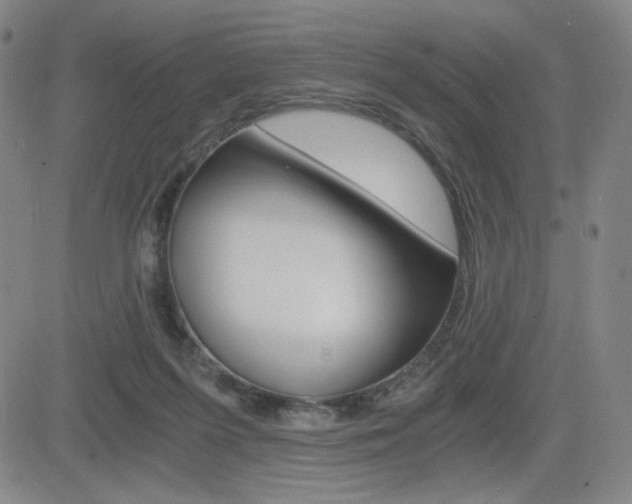 X0000084570215200702230918