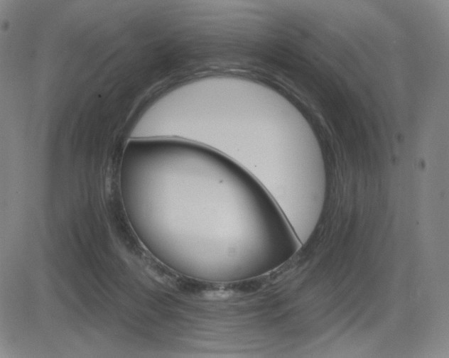 X0000084570216200702230918