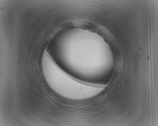 X0000084570221200702230918