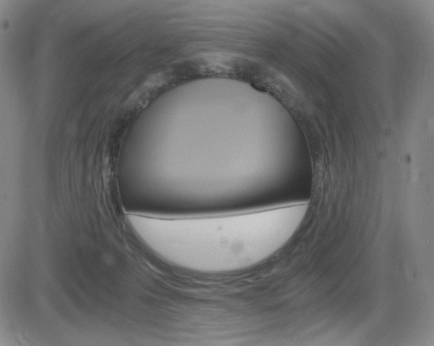 X0000084570223200702230918