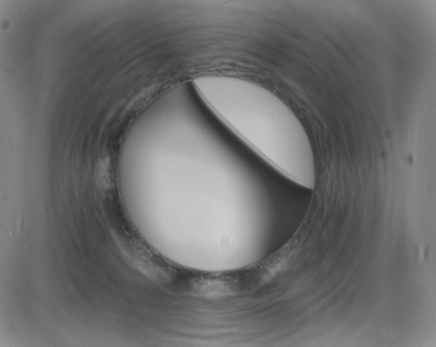 X0000084570224200702230918