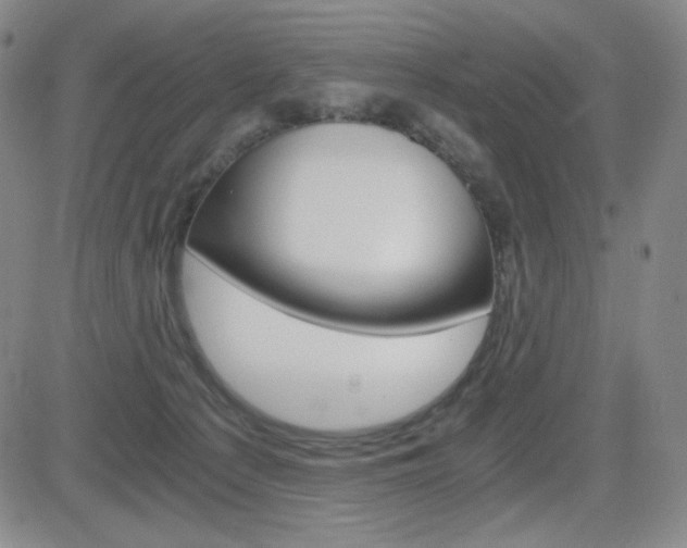 X0000084570225200702230918