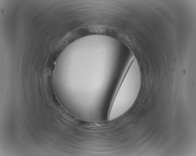 X0000084570229200702230918