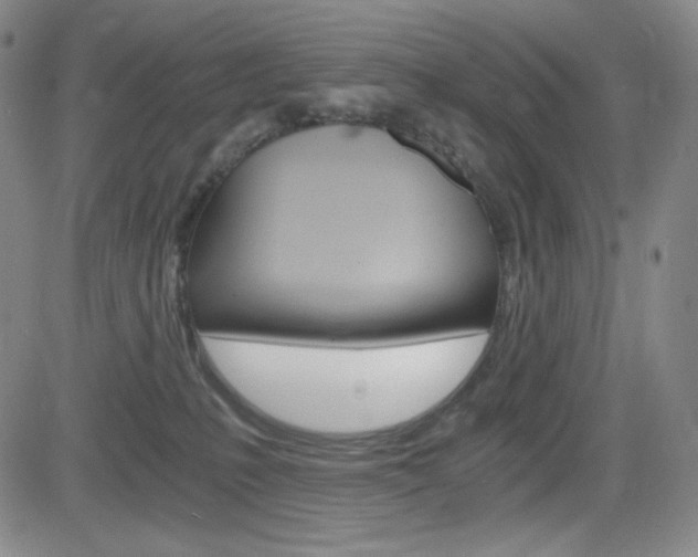 X0000084570231200702230918