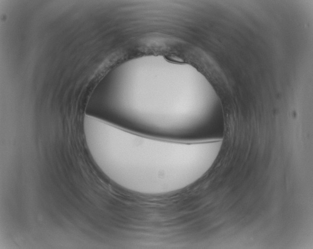 X0000084570232200702230918