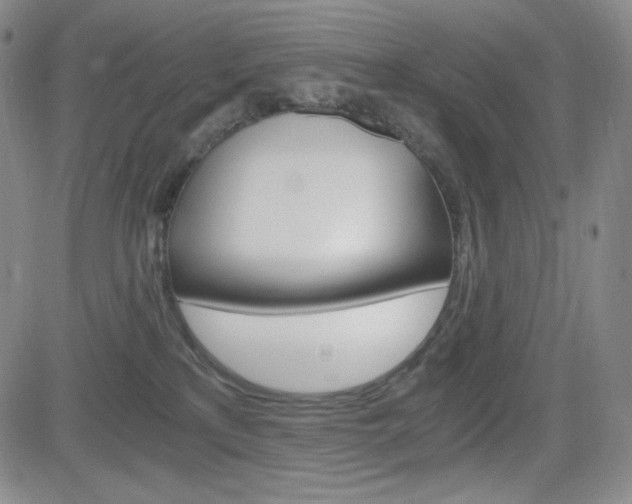 X0000084570233200702230918