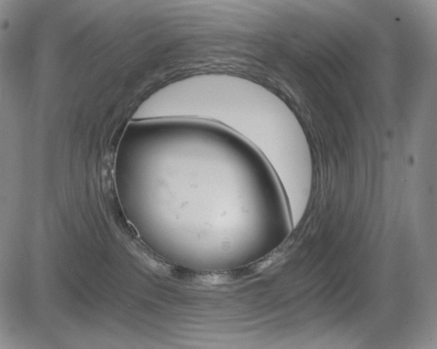X0000084570237200702230918