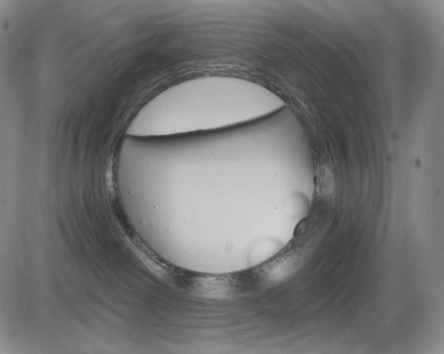 X0000084570238200702230917