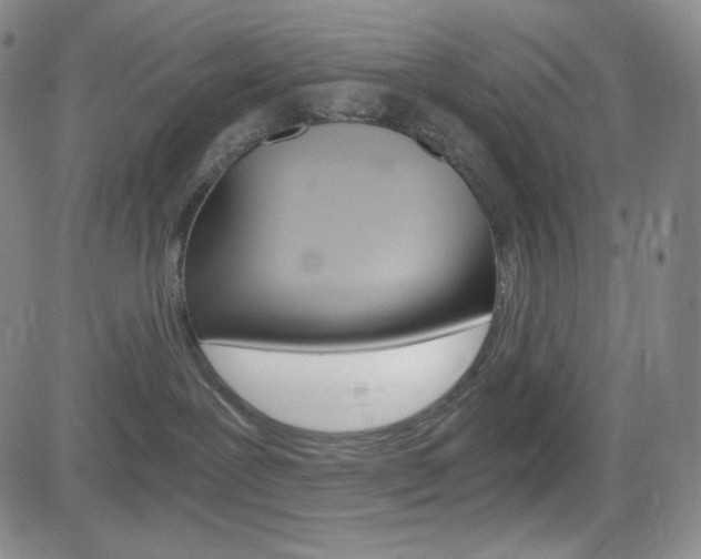X0000084570239200702230917