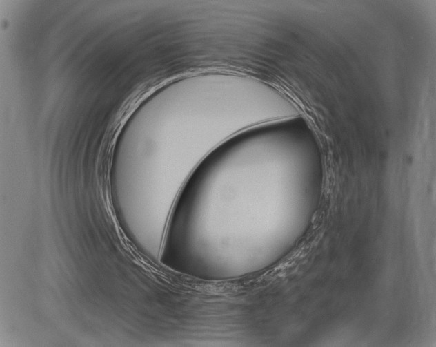 X0000084570241200702230917