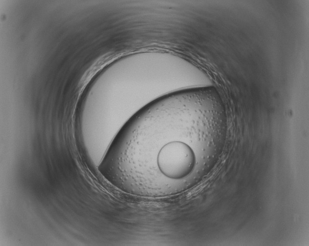 X0000084570242200702230917