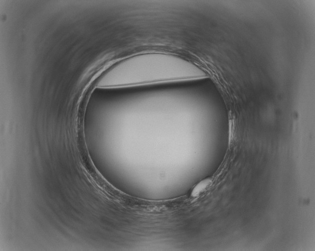 X0000084570243200702230917
