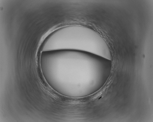 X0000084570246200702230917