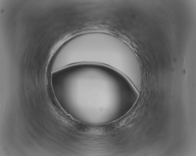 X0000084570248200702230917
