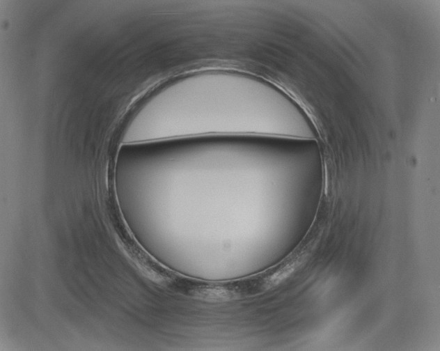 X0000084570253200702230917