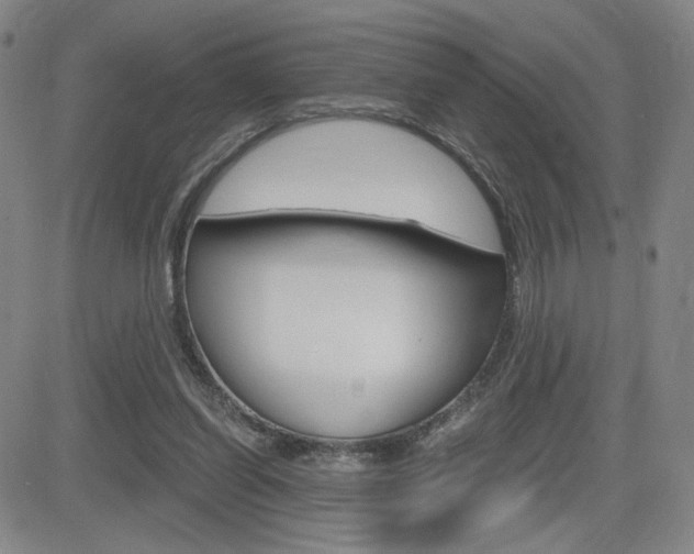 X0000084570254200702230917