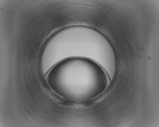 X0000084570256200702230917
